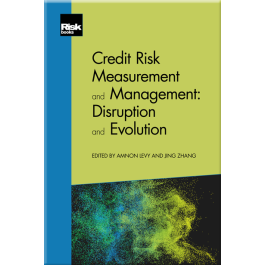 Credit Risk Measurement And Management - Risk Books